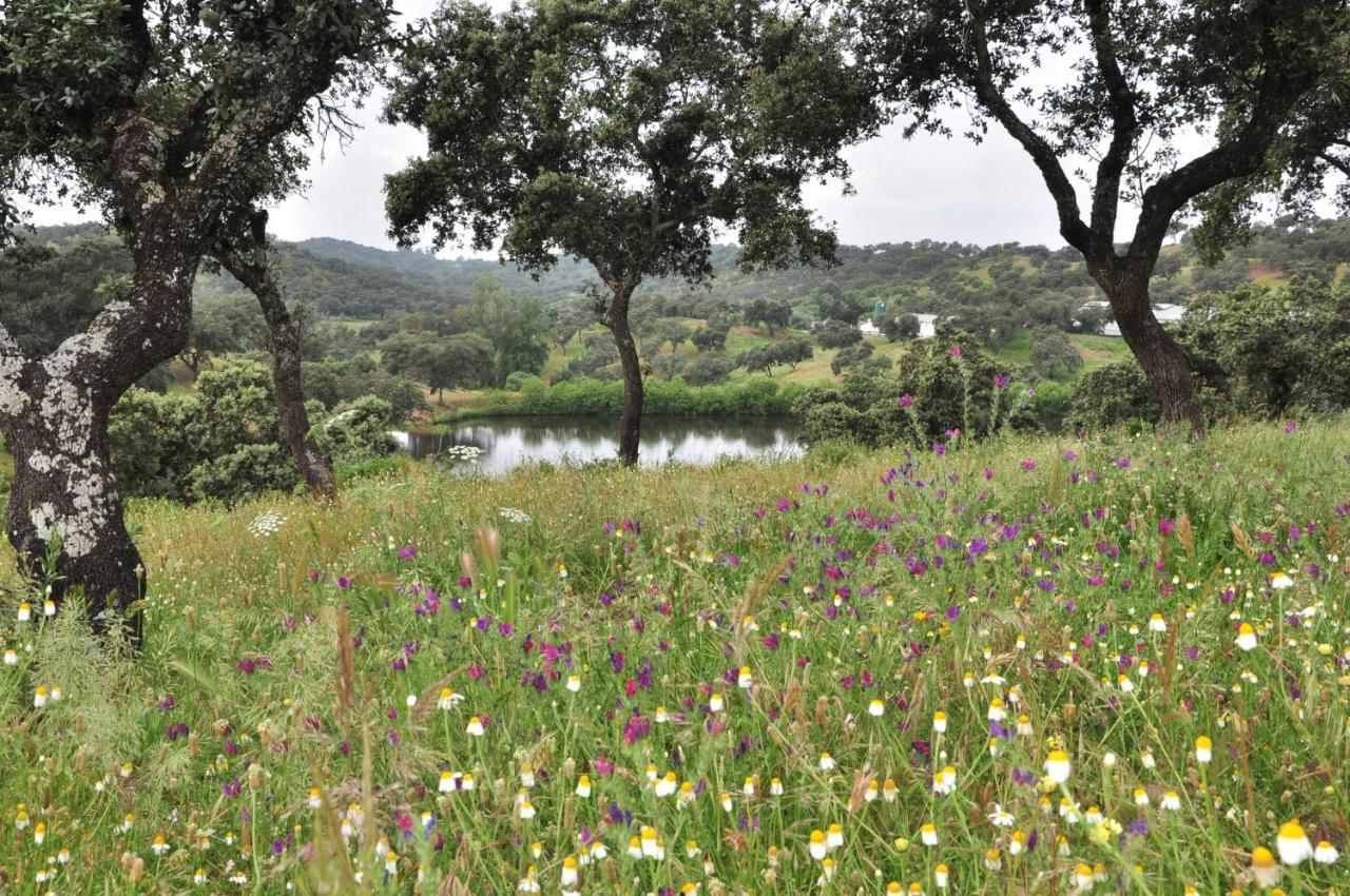 הוילה Villanueva del Rio y Minas La Rejaquera מראה חיצוני תמונה